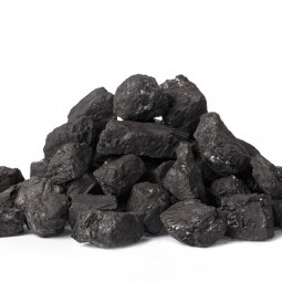 Imported Walnut Coal